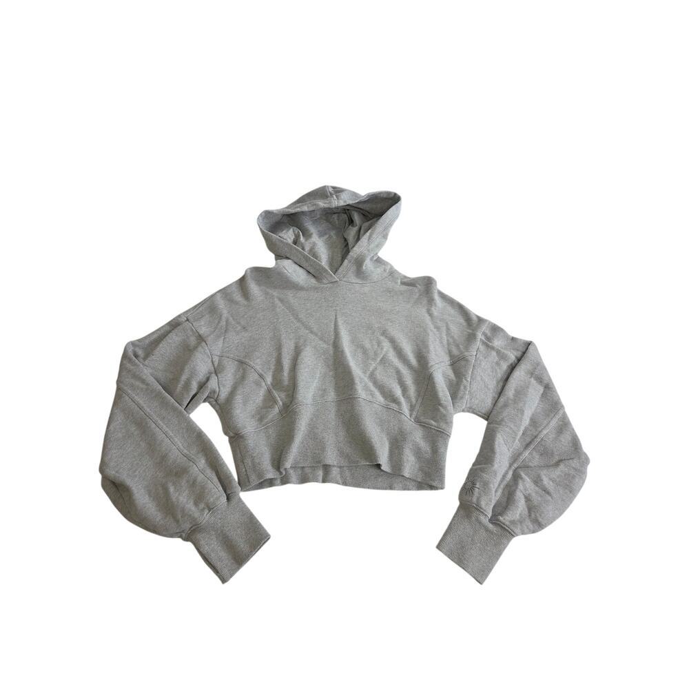 Aerie Cropped Hoodie Heather Gray Boxy Oversized Fit L